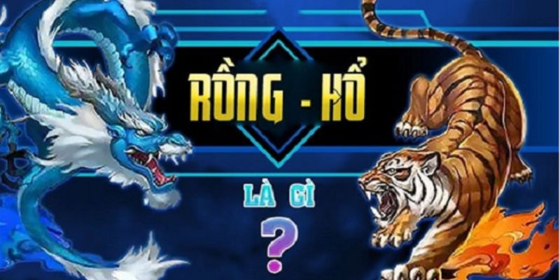 giới thiệu rồng hổ vn88